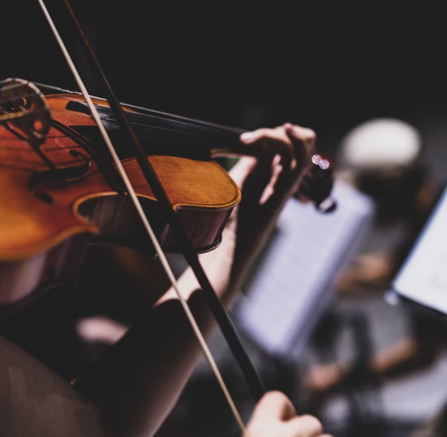 Violin